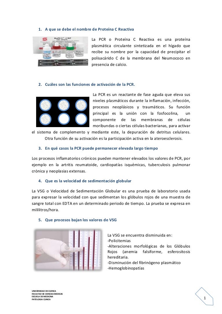 Que es pcr en analisis sangre